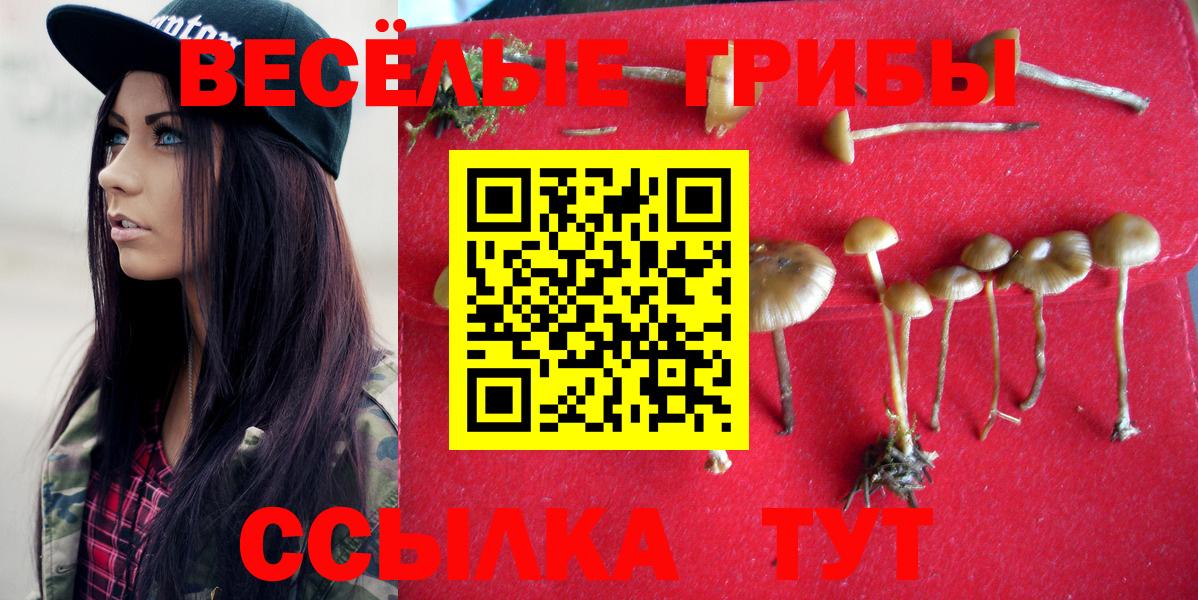 Галлюциногенные грибы MAGIC MUSHROOMS  Псилоцибиновые грибы мицелий  Прохладный  Вход с VPN 