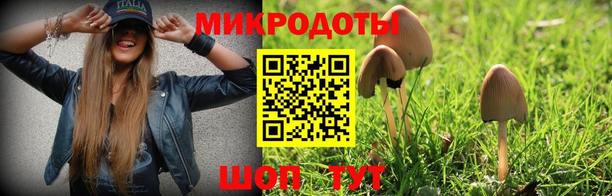 Галлюциногенные грибы MAGIC MUSHROOMS Прохладный